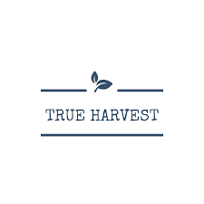 True Harvest - Bio Sponge Cloth - 2 pack - Positano Tile - Raw Cottage