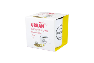 Urban Greens - Grow Your Own - Chamomile Tea Kit
