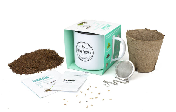 Urban Greens - Grow Your Own - Peppermint Tea Kit