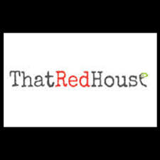 That Red House - Marine Grade Stainless Steel Pegs - 20 Pegs - Raw Cottage